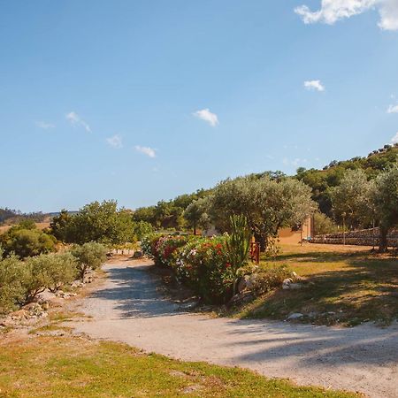 Calami - Villa Romeo - Private Apartments With Pool, Seaview & Olive Grove Santa Caterina Dello Ionio Marina المظهر الخارجي الصورة