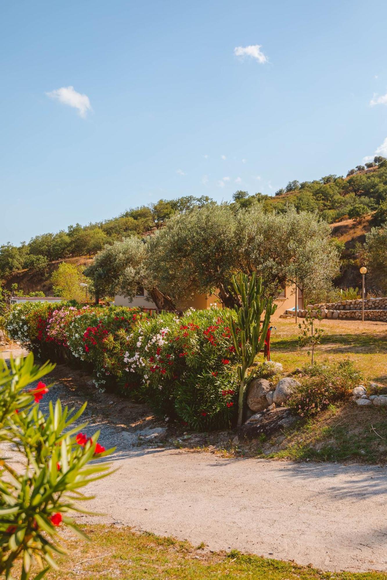 Calami - Villa Romeo - Private Apartments With Pool, Seaview & Olive Grove Santa Caterina Dello Ionio Marina المظهر الخارجي الصورة